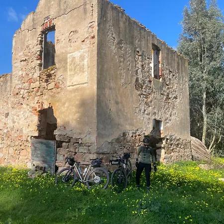 Gasthof Domo *